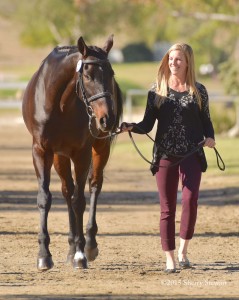 Valley Viw Farm - Trainer Allie Knowles