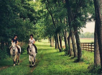 Valley View Farm - Hacking on the Farm