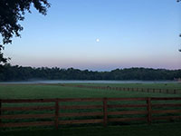 Valley View Farm - Sunset