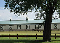 Valley View Farm - Arena