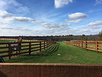 Valley View Farm - Faith in the Field