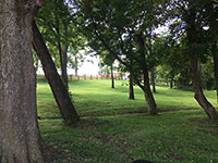 Valley View Farm - In the Trees