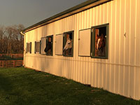 Valley View Farm - Horses in the Barn