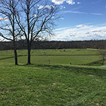 Valley View Farm - Cross-Country Field