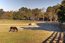 Valley View Farm - Fields with Frost