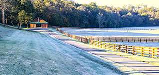 Valley View Farm - Frost