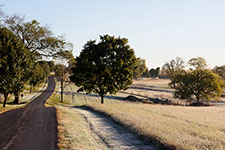 Valley View Farm - Open Lane