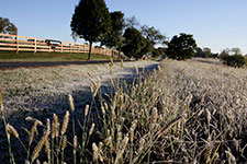 Valley View Farm - Lane 2