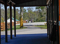 Valley View Farm - View from Shed Barn