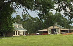 Valley View Farm - Barn 4