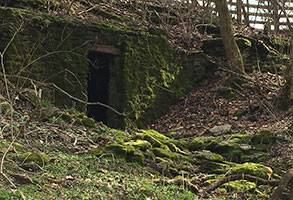 Valley View Farm - Spring House