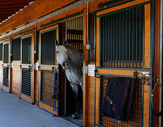 Valley View Farm - Horses Barn Stalls
